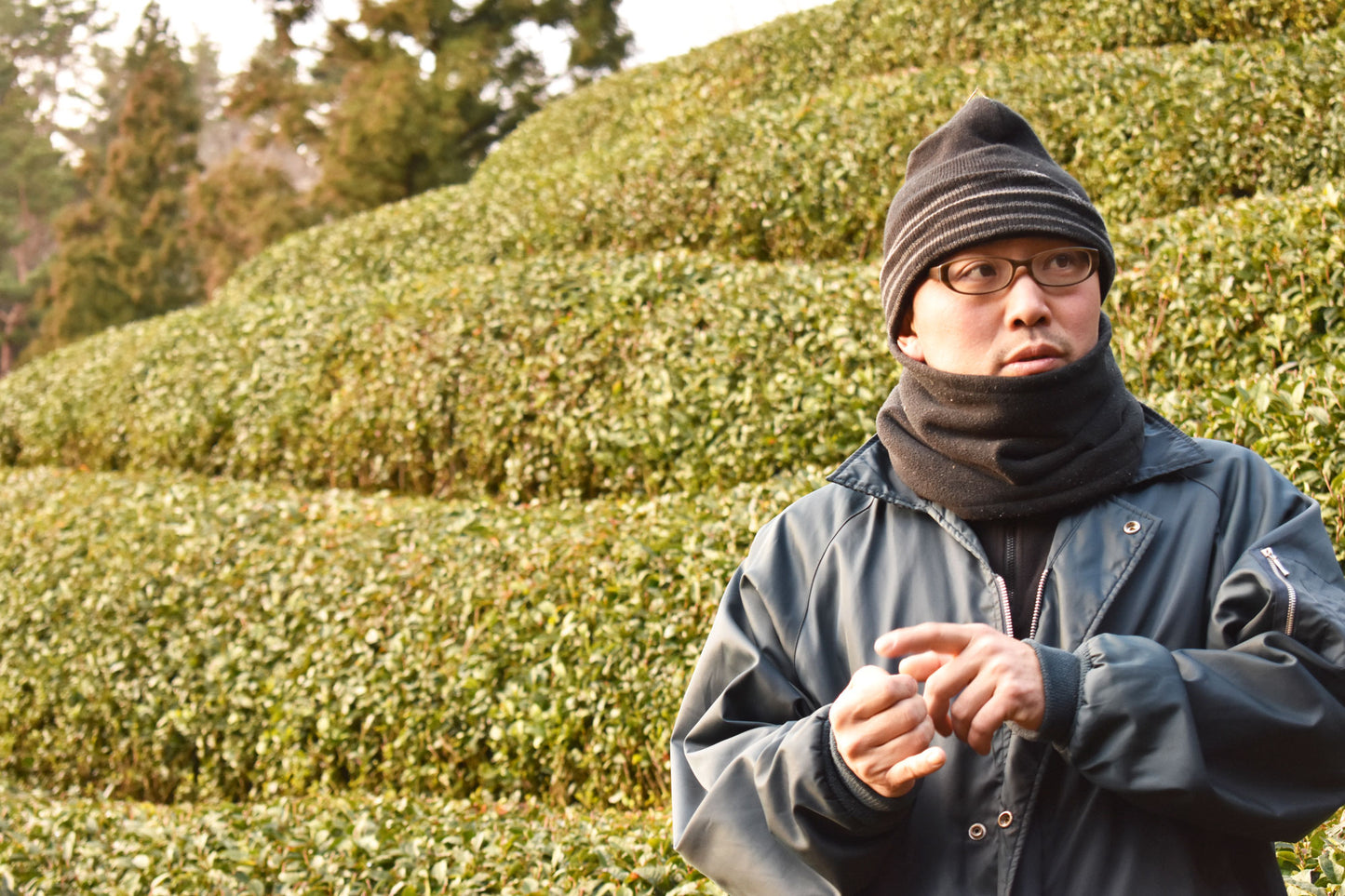 WANOWA オーガニック ハンドクリーム(和束茶)